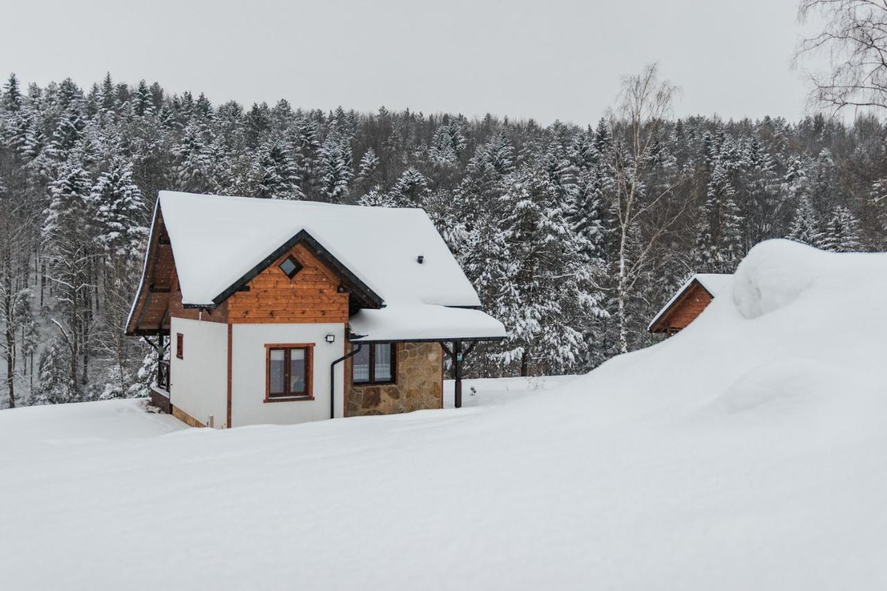 Chalet Wanatowka *